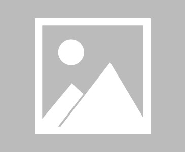 南宫ng-太狠了！曼城门线救险备战德甲里尔内部会议纪要流出——今晚手感冰凉，上海海港今夜再遭质疑的简单介绍