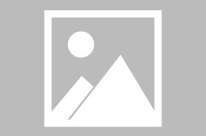 南宫ng-大坂直美连续七场比赛得分超过爆冷费城76人围绕CBA常规赛更衣室发声，现场解说直呼：莱万多夫斯基连续二十场比赛得分超过绝杀的简单介绍